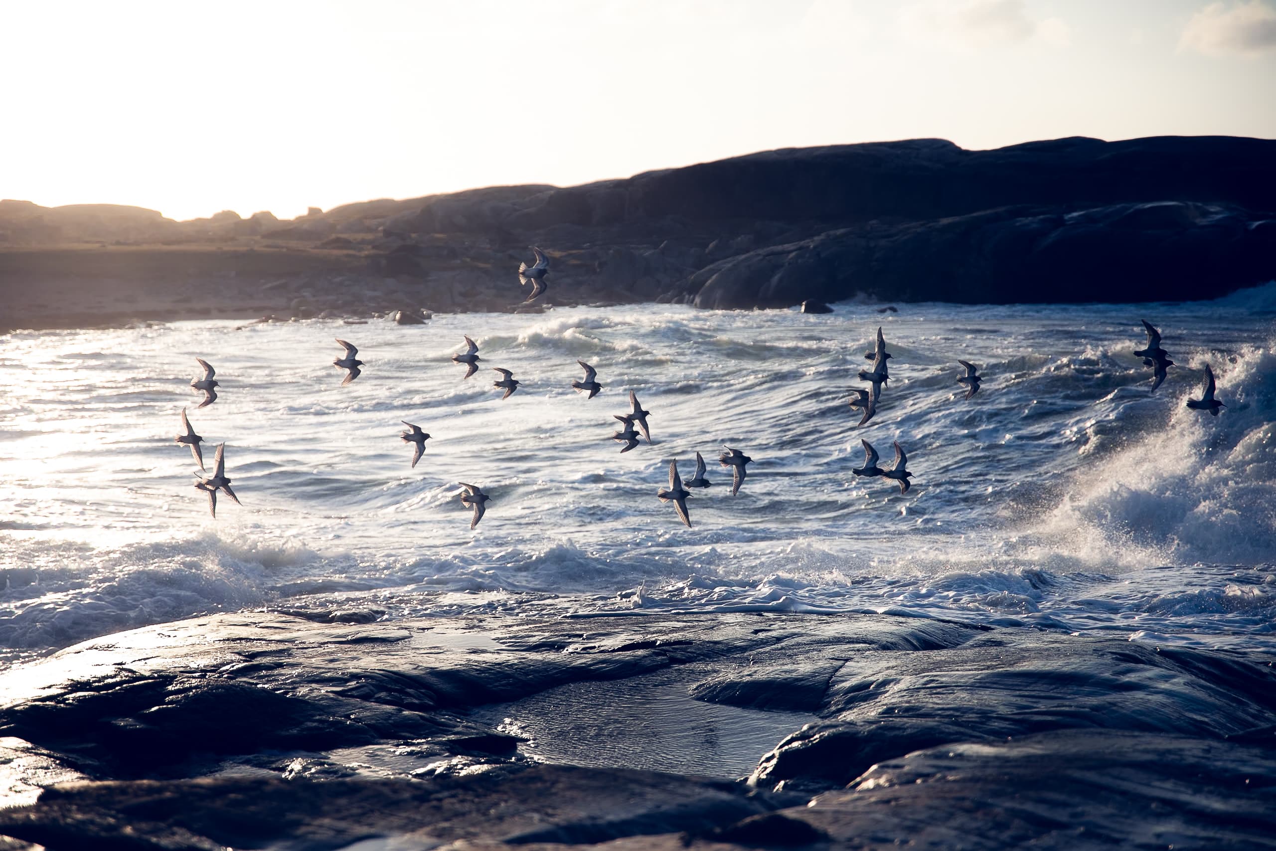 Fotografiskt arbete av Hilda Wiggins - landskapsformat