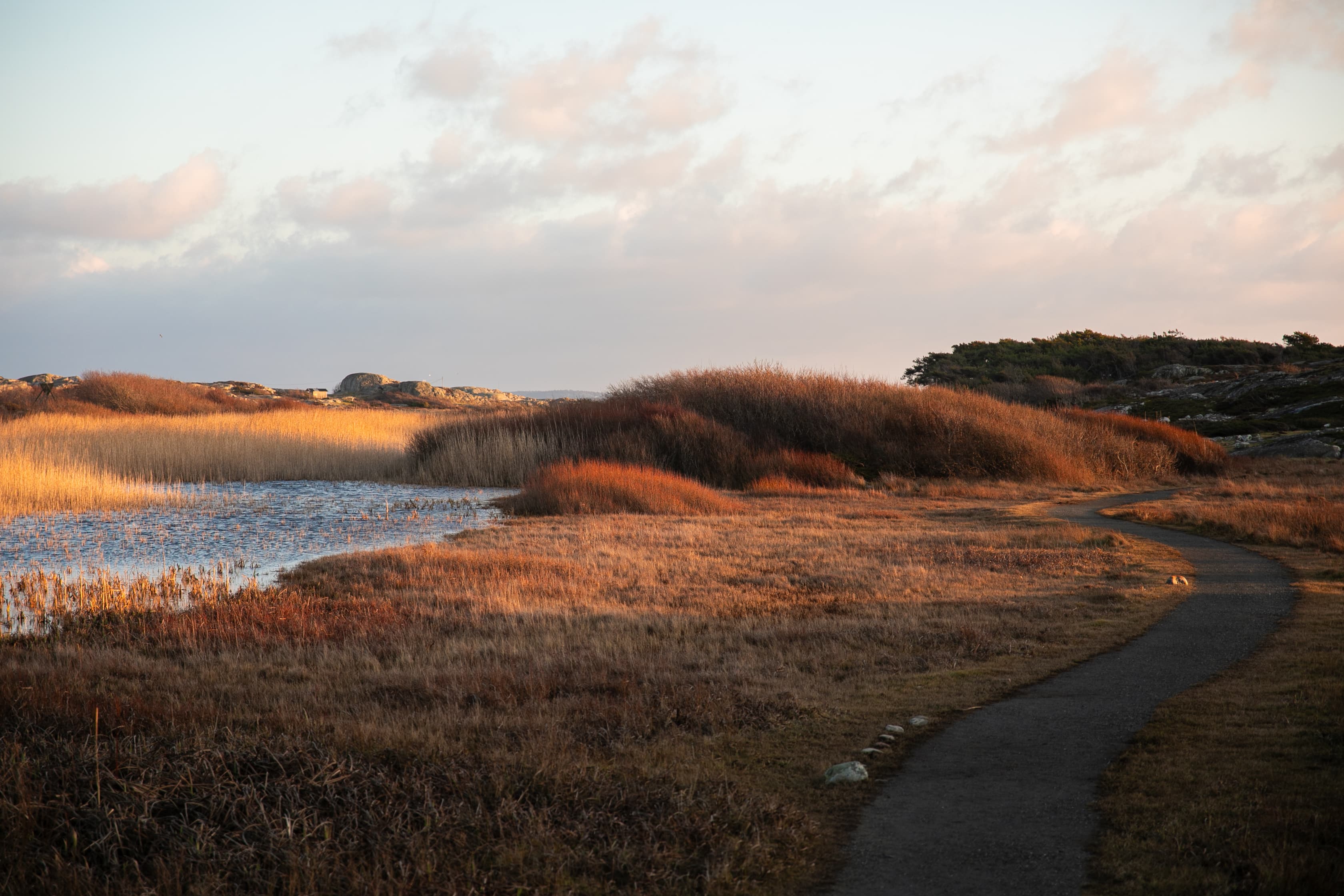 Redaktionell och dokumentär fotografi av Hilda Wiggins - landskapsformat